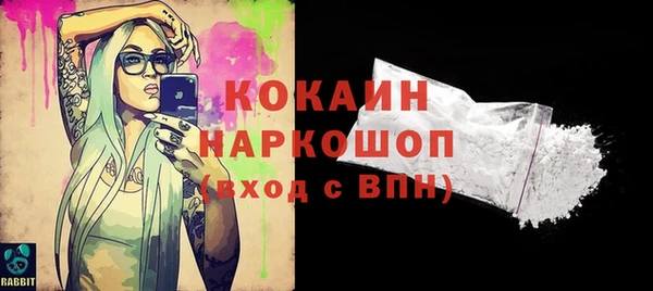 индика Аркадак