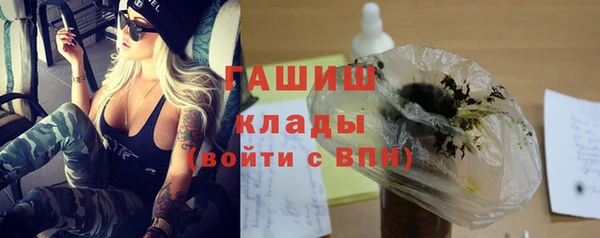 индика Аркадак