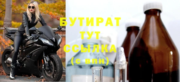 индика Аркадак