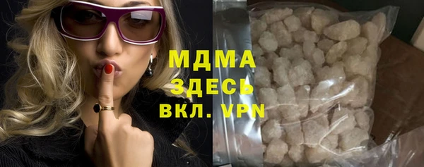 индика Аркадак