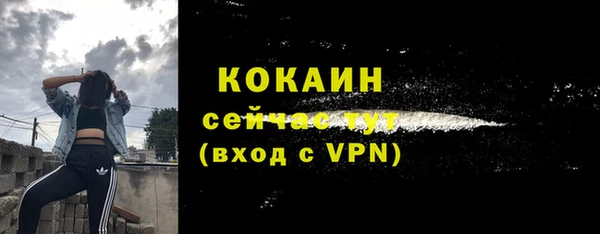 индика Аркадак