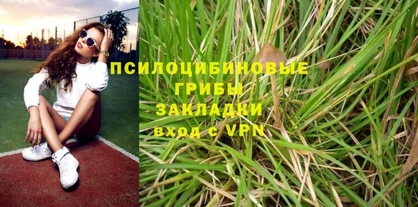 индика Аркадак
