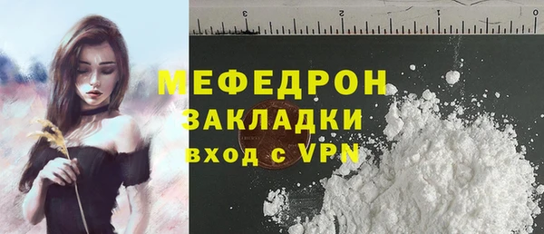 индика Аркадак