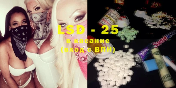 индика Аркадак