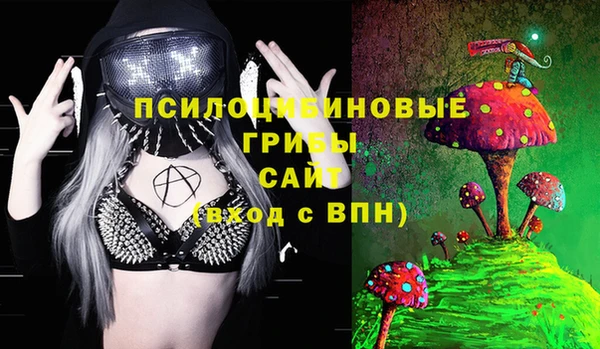 индика Аркадак
